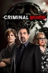 Criminal Minds 14 [15/15] ITA Streaming