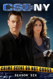 CSI: New York 6 [23/23] ITA Streaming